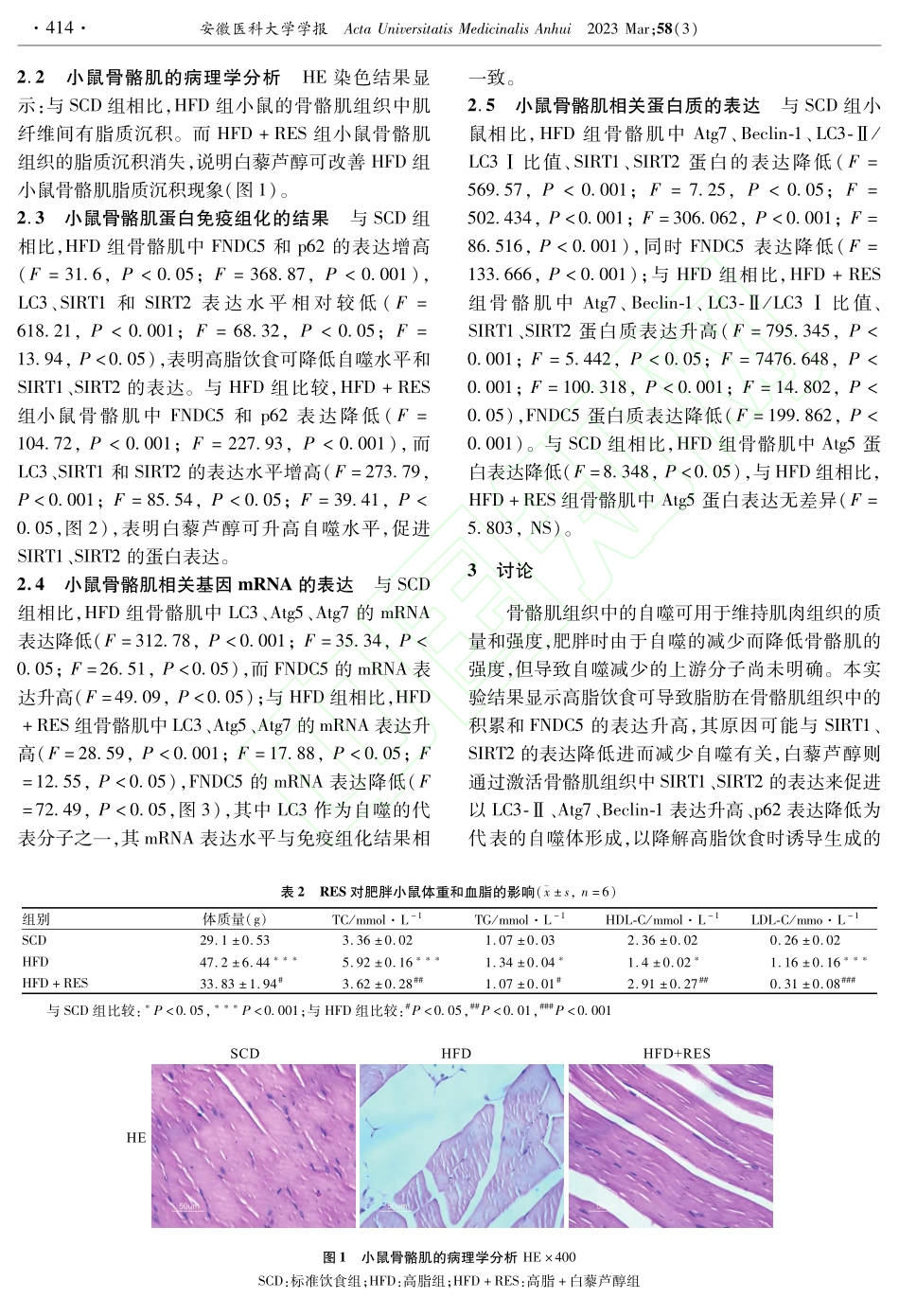 白藜芦醇促进肥胖小鼠骨骼肌中FNDC5降解的机制_虞芳梅.pdf_第3页
