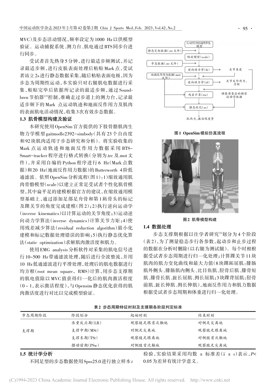 OpenSim环境下扁平足...步态支撑期踝周肌群肌力分析_赵虎.pdf_第3页