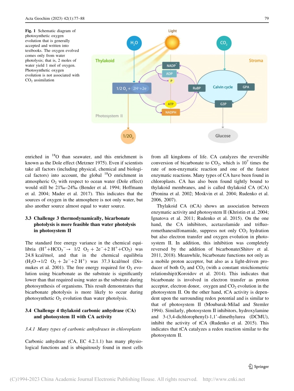 Combined effe...on neutrality_Yanyou Wu.pdf_第3页