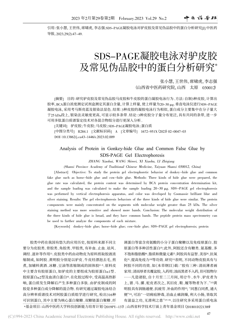 SDS-PAGE凝胶电泳对...常见伪品胶中的蛋白分析研究_张小慧.pdf_第1页