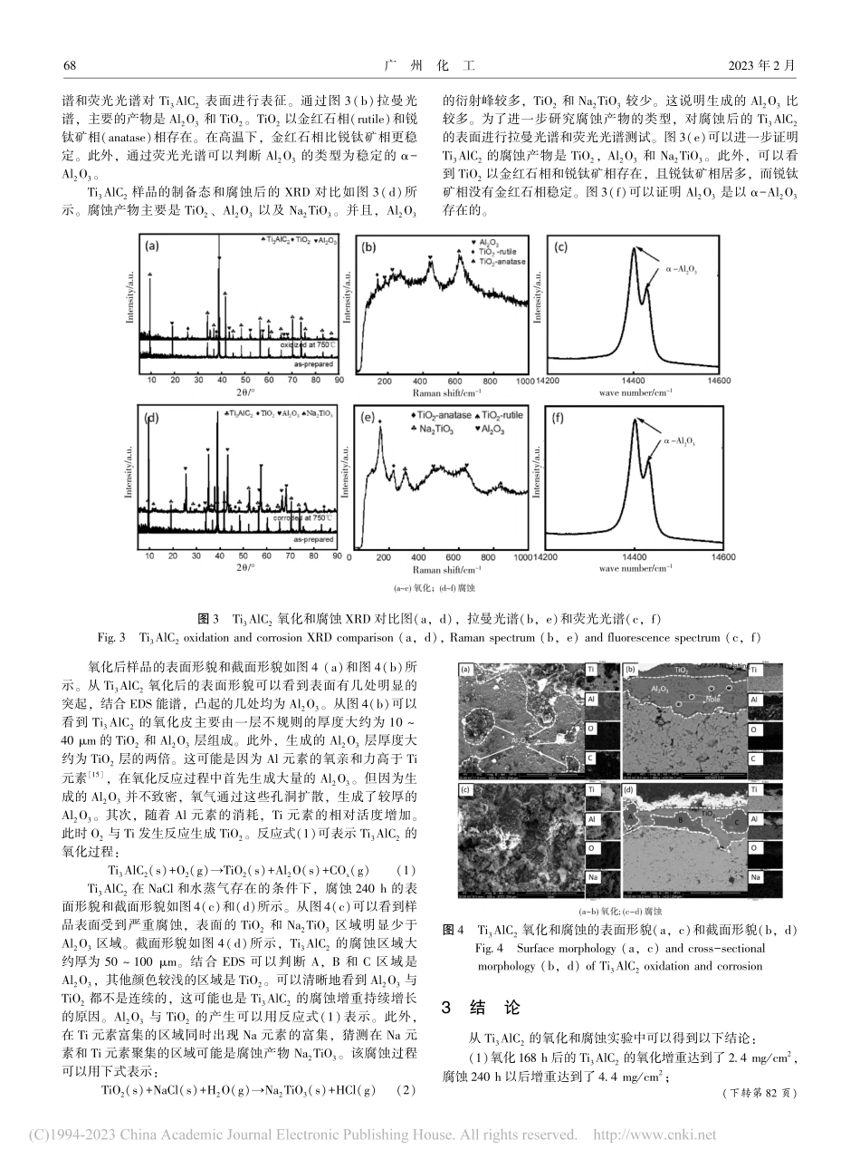 Ti_3AlC_2在750...的氧化行为和腐蚀行为的研究_李晓静.pdf_第3页