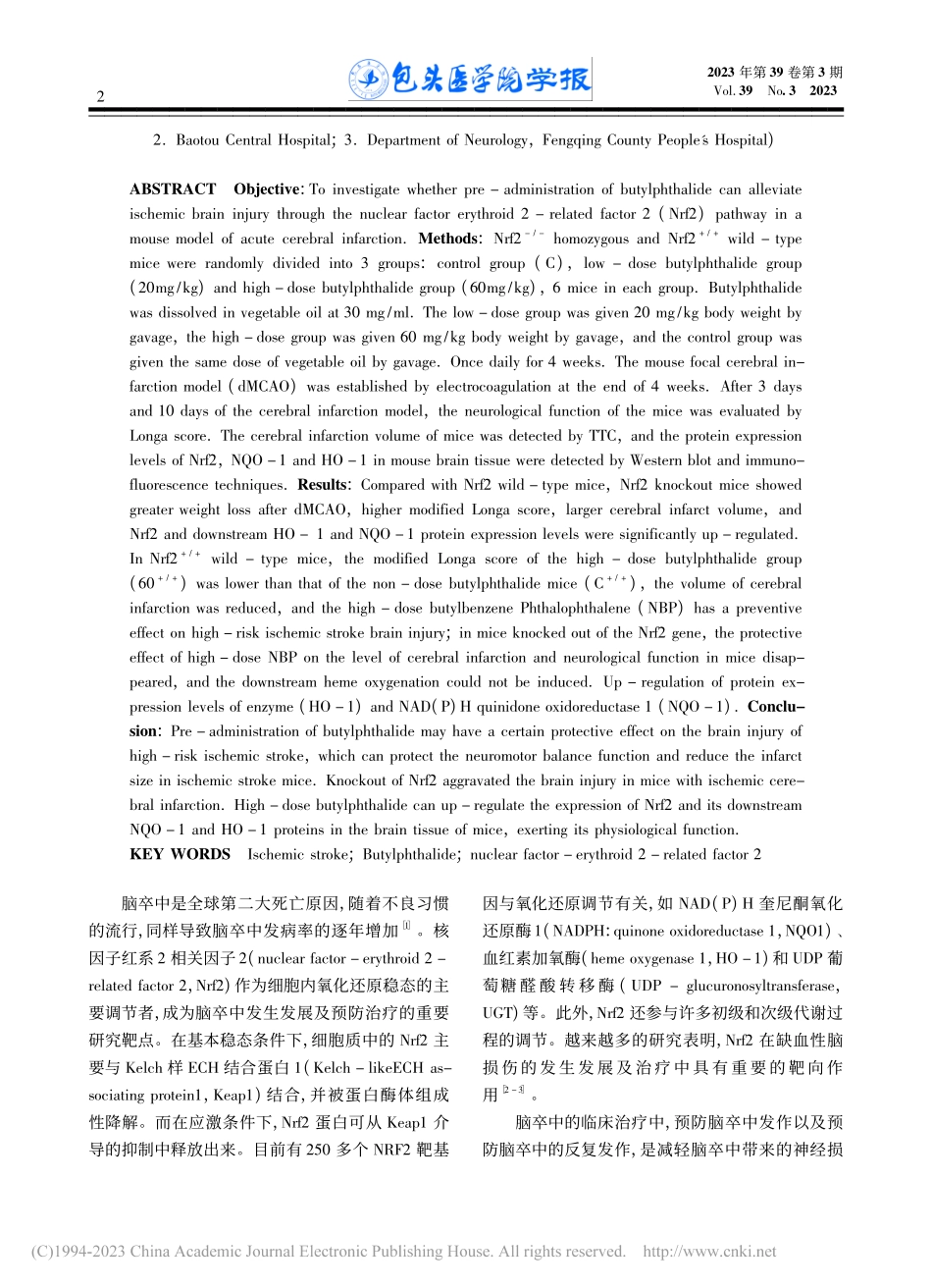 基于Nrf2信号通路研究丁...对高危缺血性卒中的保护作用_王晗彰.pdf_第2页