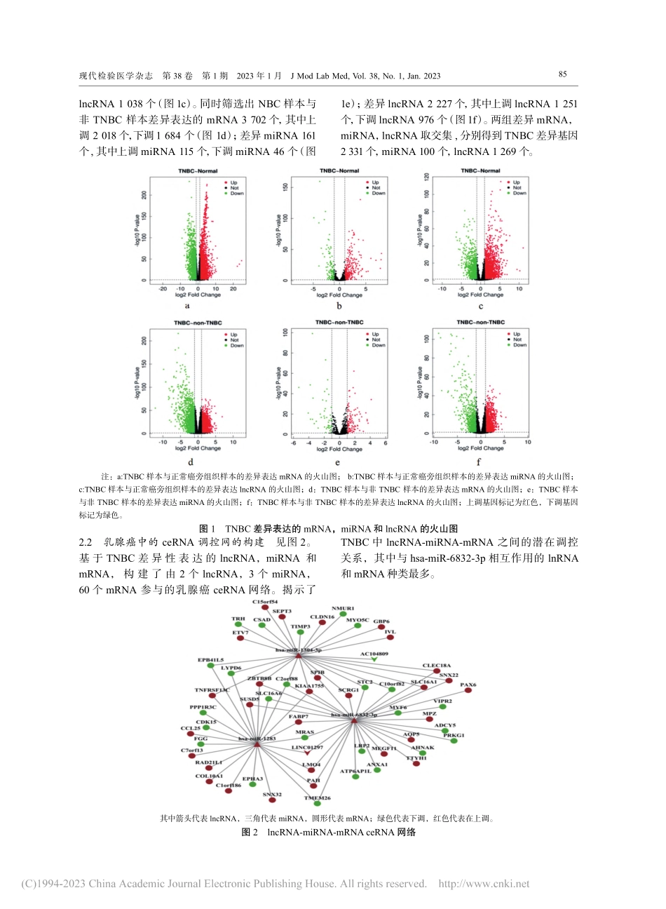 基于TCGA数据库构建三阴...的ceRNA调控网络及分析_肖姗姗.pdf_第3页
