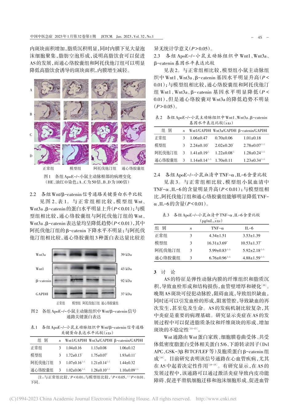 基于Wnt_β-caten...粥样硬化小鼠炎症水平的影响_姜雪娇.pdf_第3页