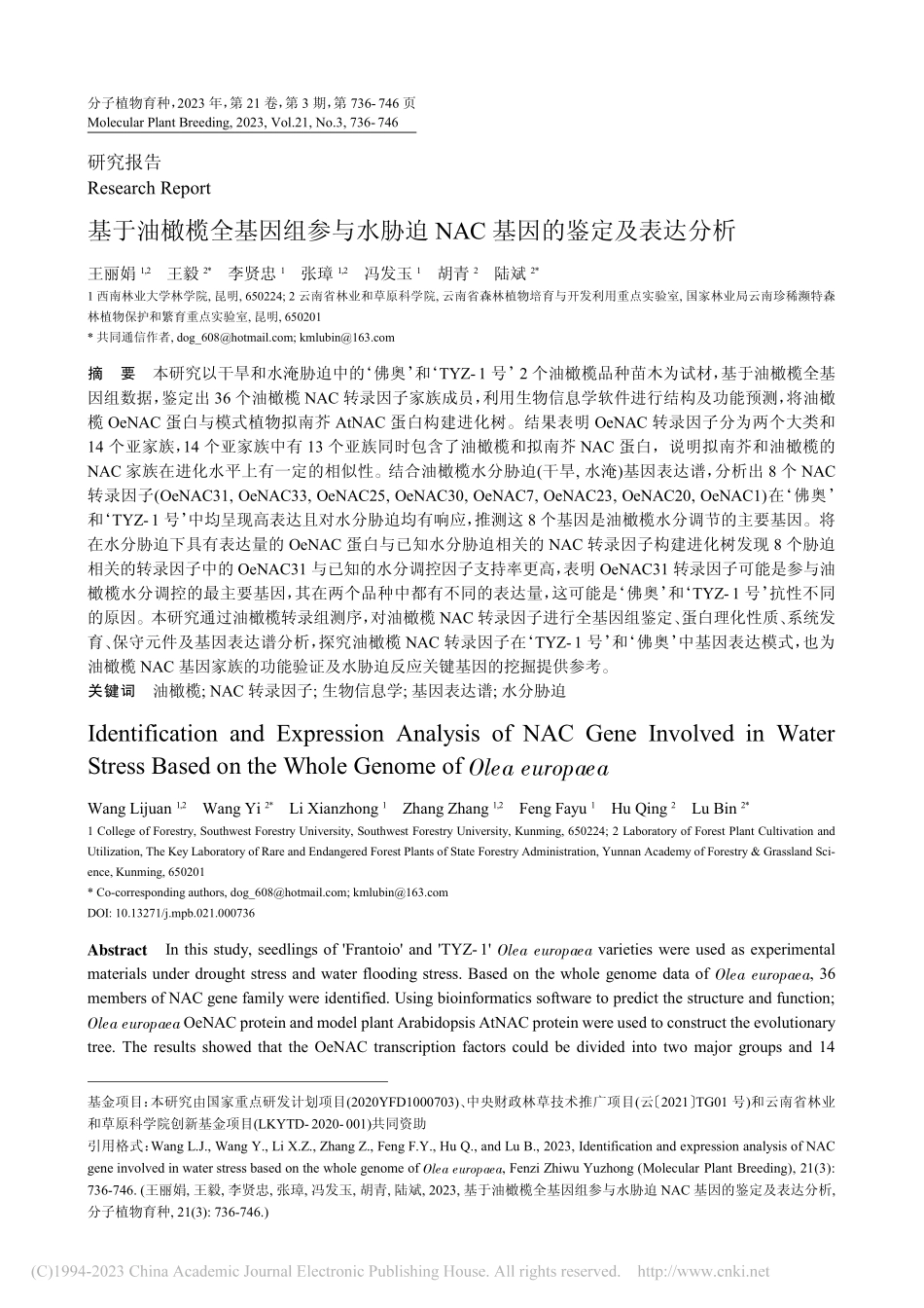 基于油橄榄全基因组参与水胁...NAC基因的鉴定及表达分析_王丽娟.pdf_第1页