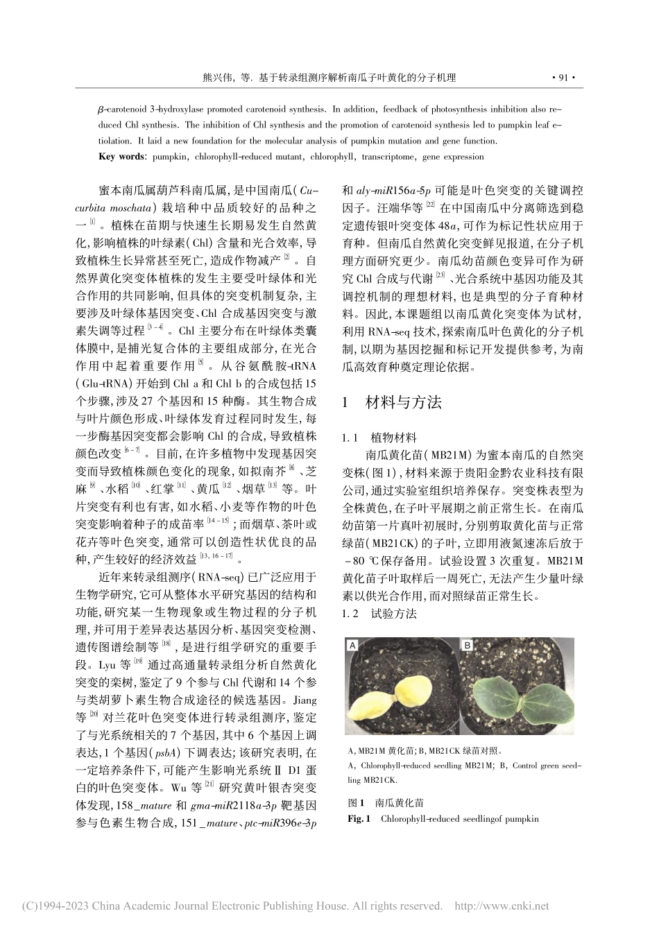基于转录组测序解析南瓜子叶黄化的分子机理_熊兴伟.pdf_第2页