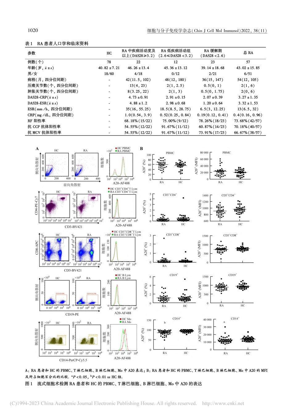 类风湿性关节炎患者外周血单...达降低并与疾病活动度负相关_刘薇.pdf_第3页