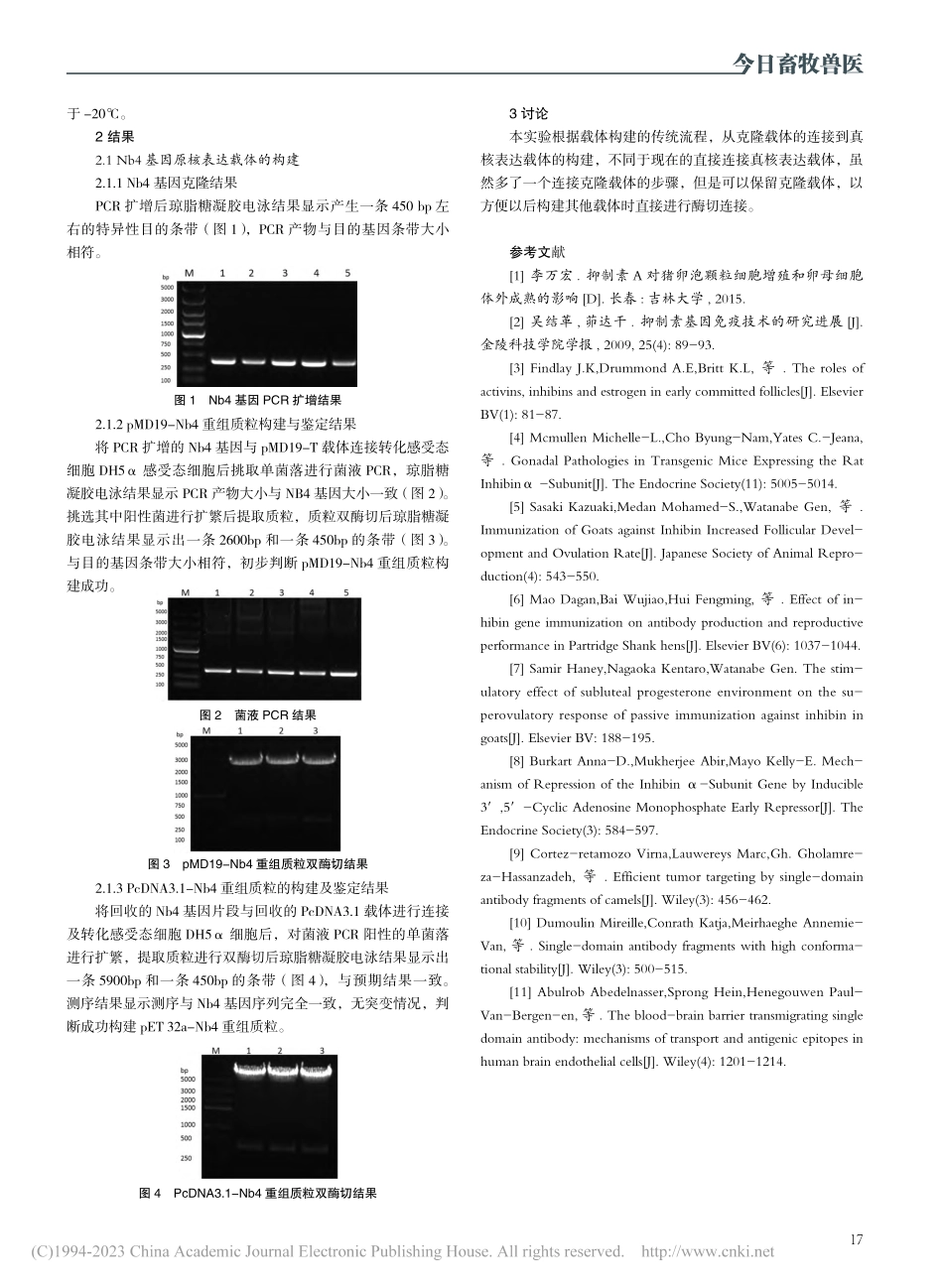 抗抑制素α纳米抗体真核表达载体的构建_贾昊天.pdf_第2页