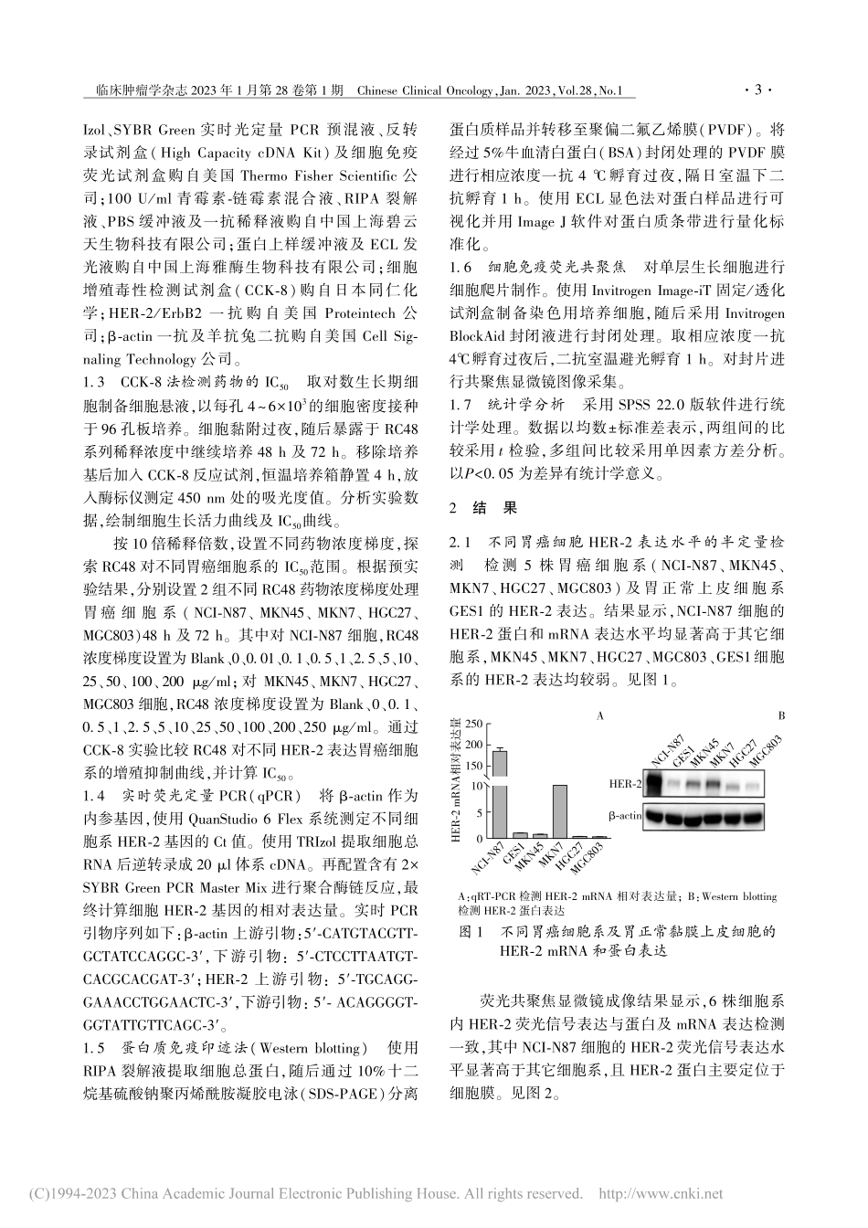 抗体偶联药物维迪西妥单抗对...胃癌细胞抑制效应的体外研究_金洋冰.pdf_第3页