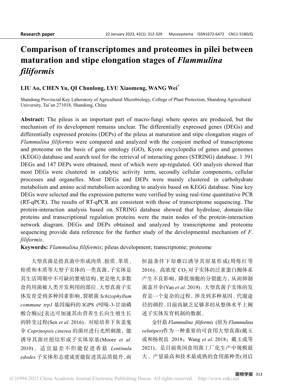 金针菇成熟期和伸长期菌盖的转录组与蛋白组比较分析_刘澳.pdf_第2页