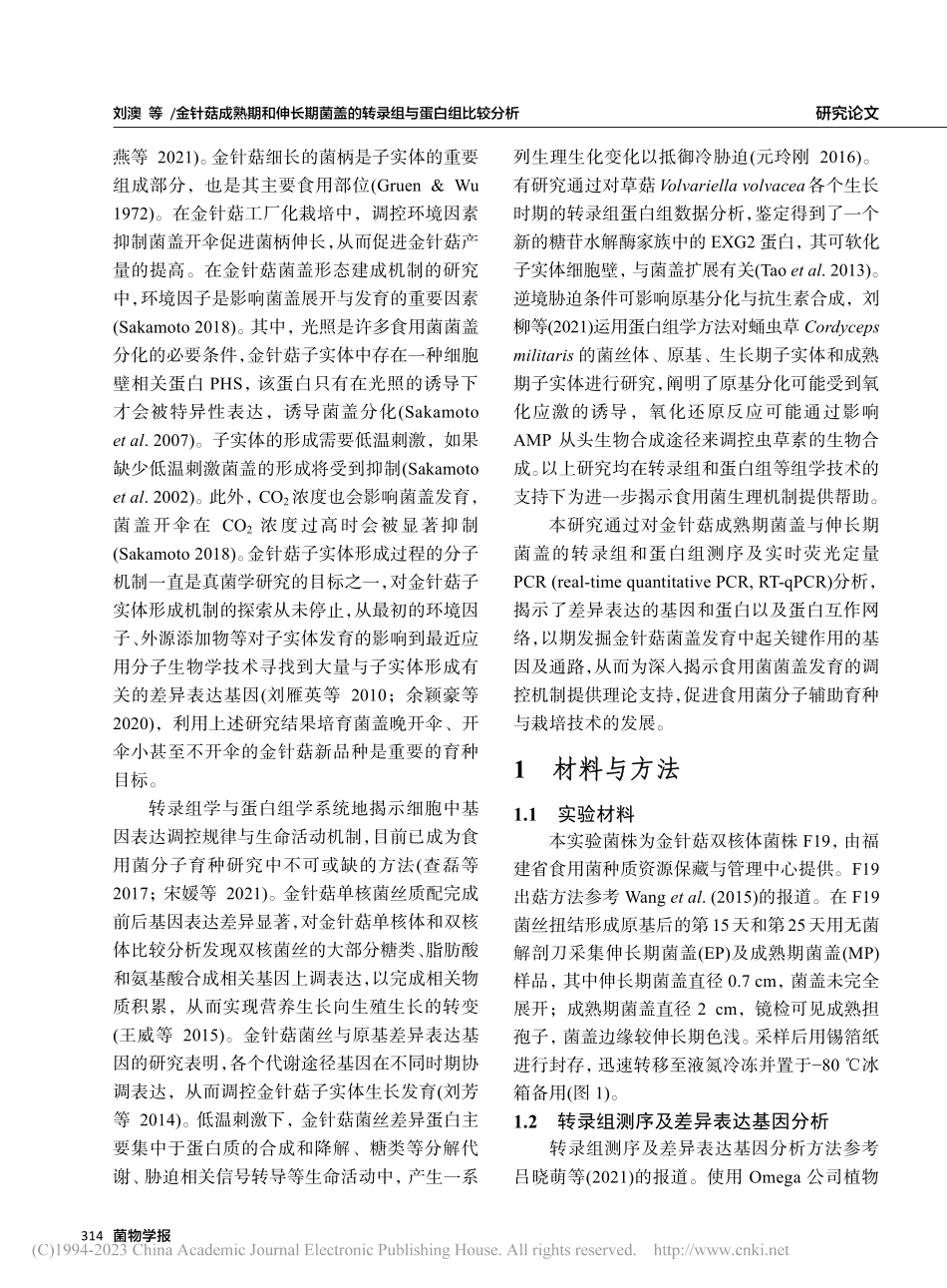 金针菇成熟期和伸长期菌盖的转录组与蛋白组比较分析_刘澳.pdf_第3页