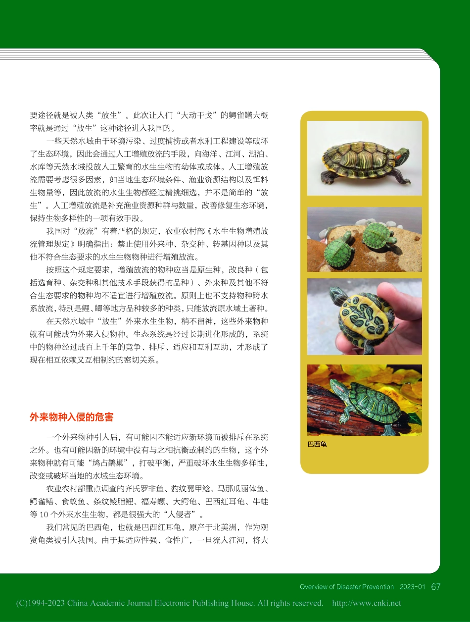 谨防外来物种入侵_周军.pdf_第2页