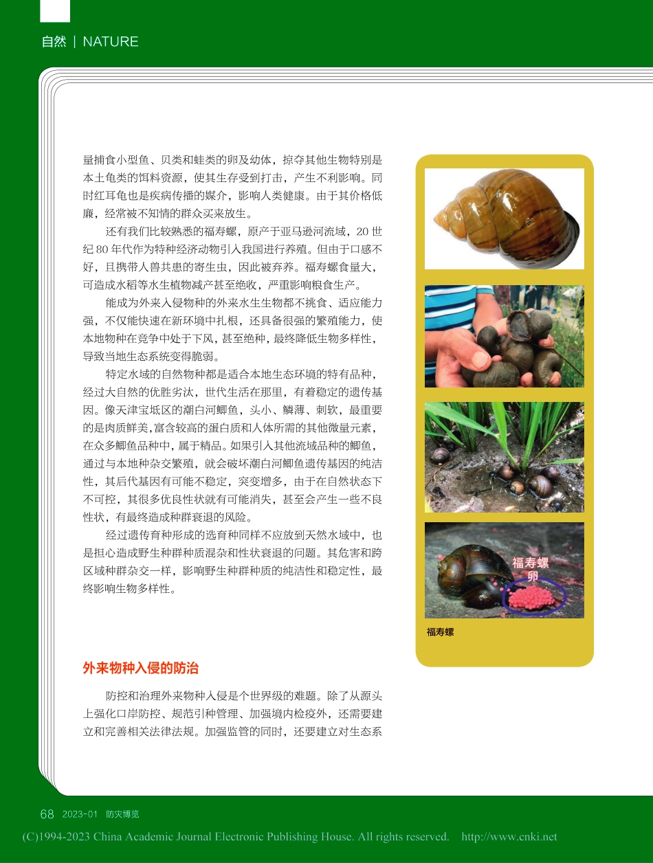 谨防外来物种入侵_周军.pdf_第3页