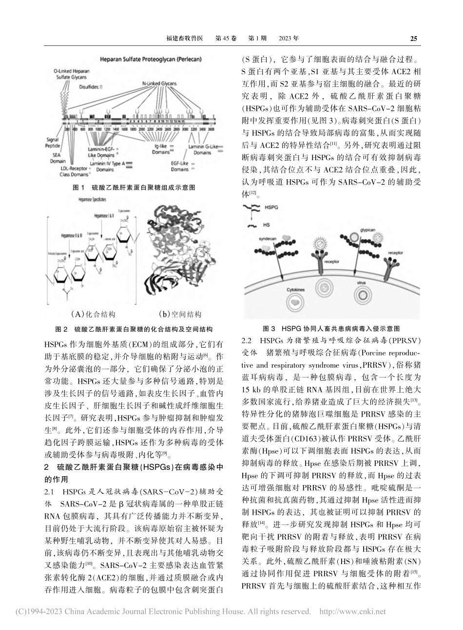 硫酸乙酰肝素蛋白聚糖介导人...患病病毒感染机制的研究进展_林敏华.pdf_第2页