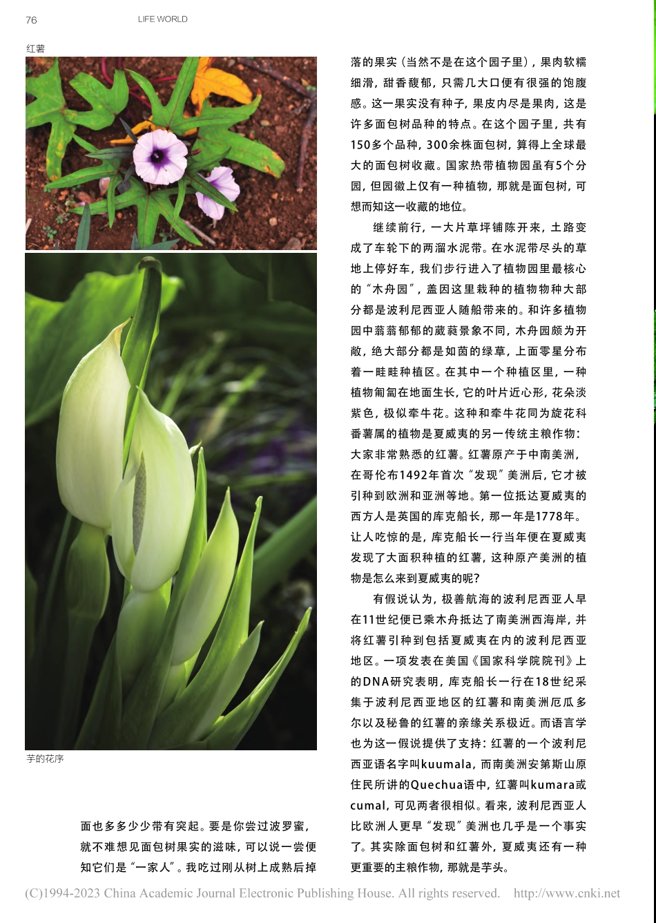 美国国家热带植物园：夏威夷民族植物学之苑_金文驰.pdf_第3页