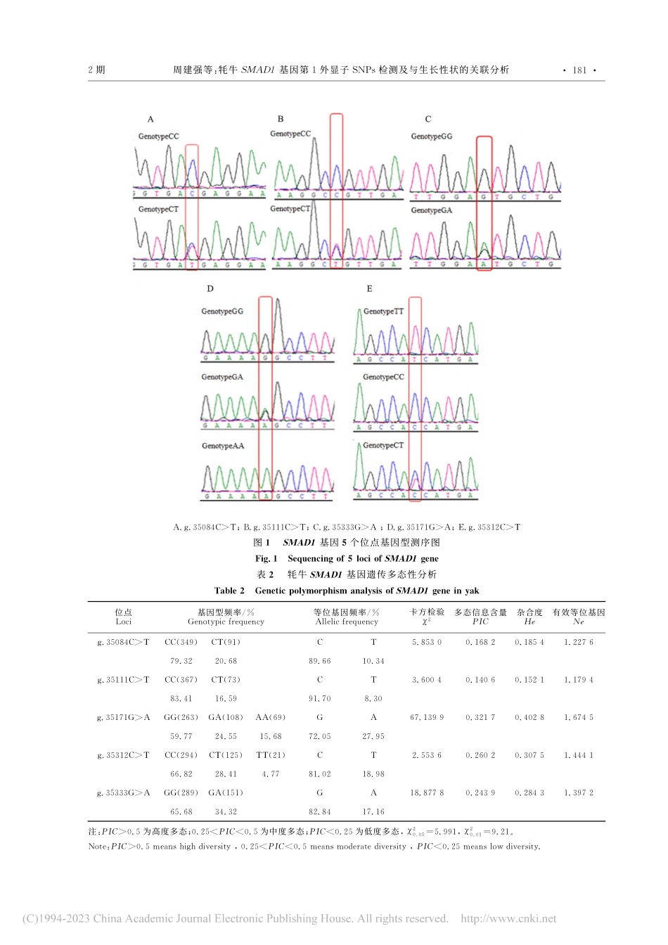 牦牛SMAD1基因第1外显...检测及与生长性状的关联分析_周建强.pdf_第3页