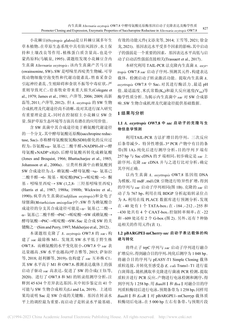 内生真菌Alternari...因启动子克隆表达及酶学性质_闵钰.pdf_第2页