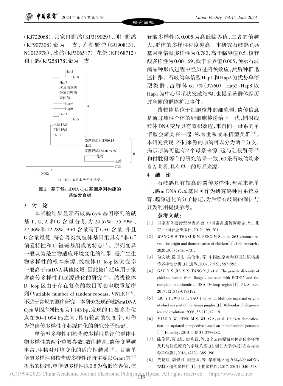 石岐鸽mtDNA_Cytb基因遗传多样性分析_贾晓旭.pdf_第3页