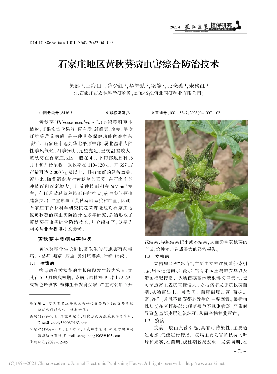 石家庄地区黄秋葵病虫害综合防治技术_吴然.pdf_第1页