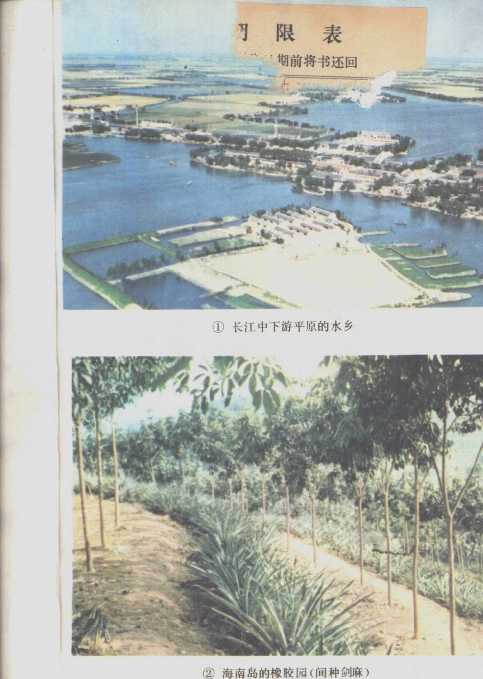 【初级中学课本】 中国地理 下 人民教育出版社（1987.04）.pdf_第3页