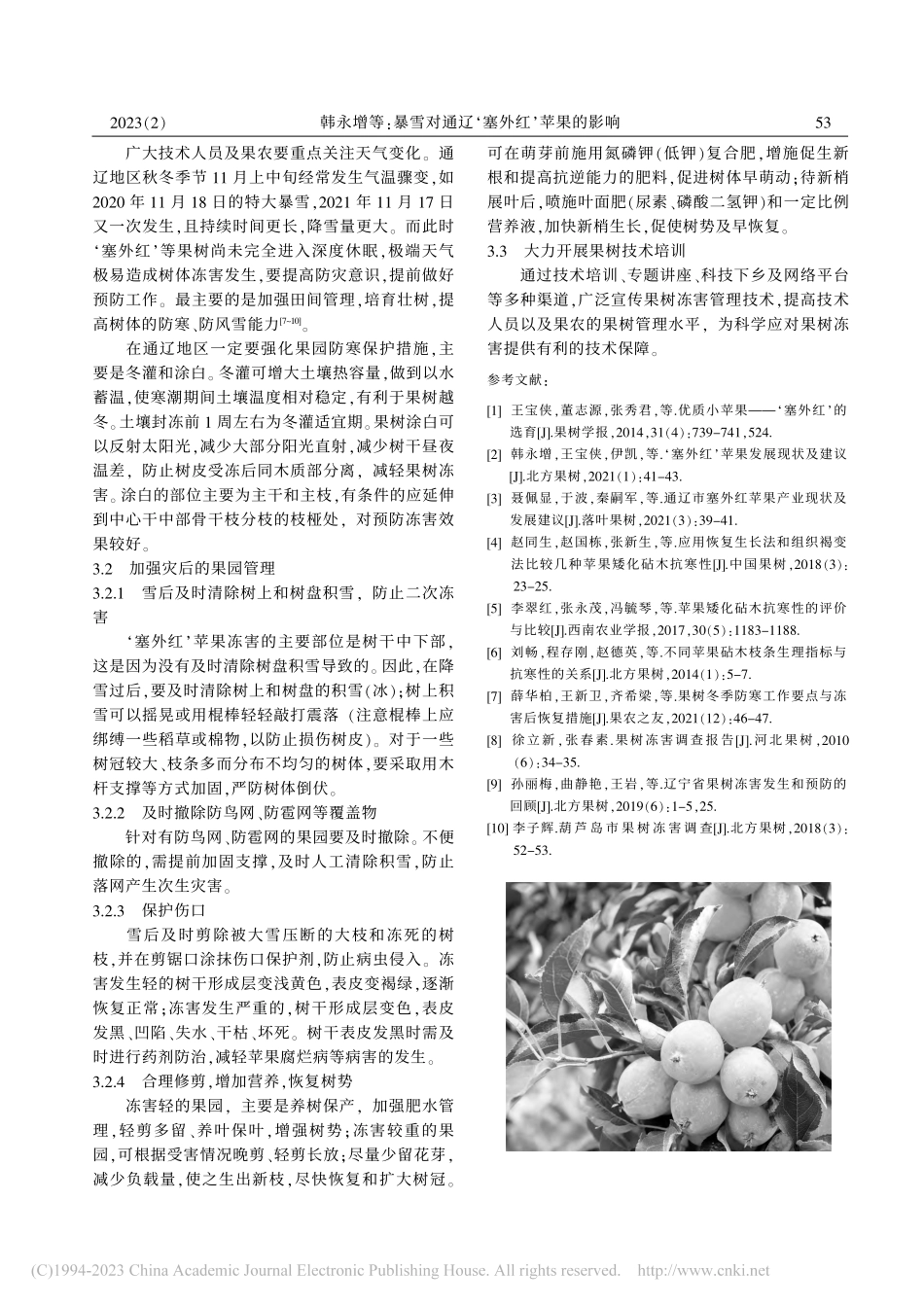 暴雪对通辽‘塞外红’苹果的影响_韩永增.pdf_第3页