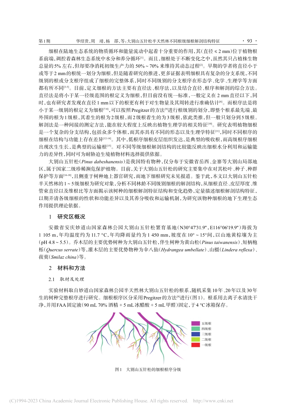 大别山五针松半天然林不同根级细根解剖结构特征_华绍贵_.pdf_第2页