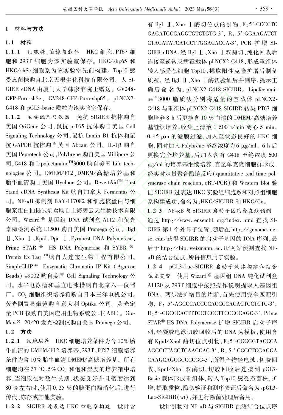 核转录因子NF-κB调节人...SIGIRR表达机制的研究_蒋克国.pdf_第2页
