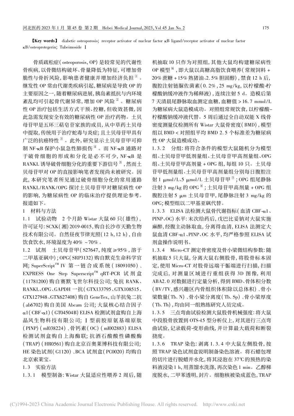 基于RANKL_RANK_...骨质疏松大鼠骨质流失的影响_杨晓净.pdf_第2页