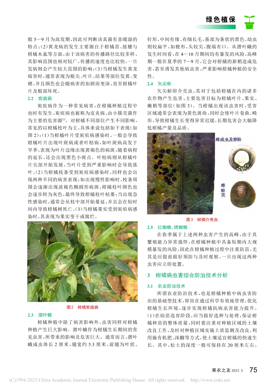 柑橘病虫害综合防治技术分析_樊永强.pdf_第2页