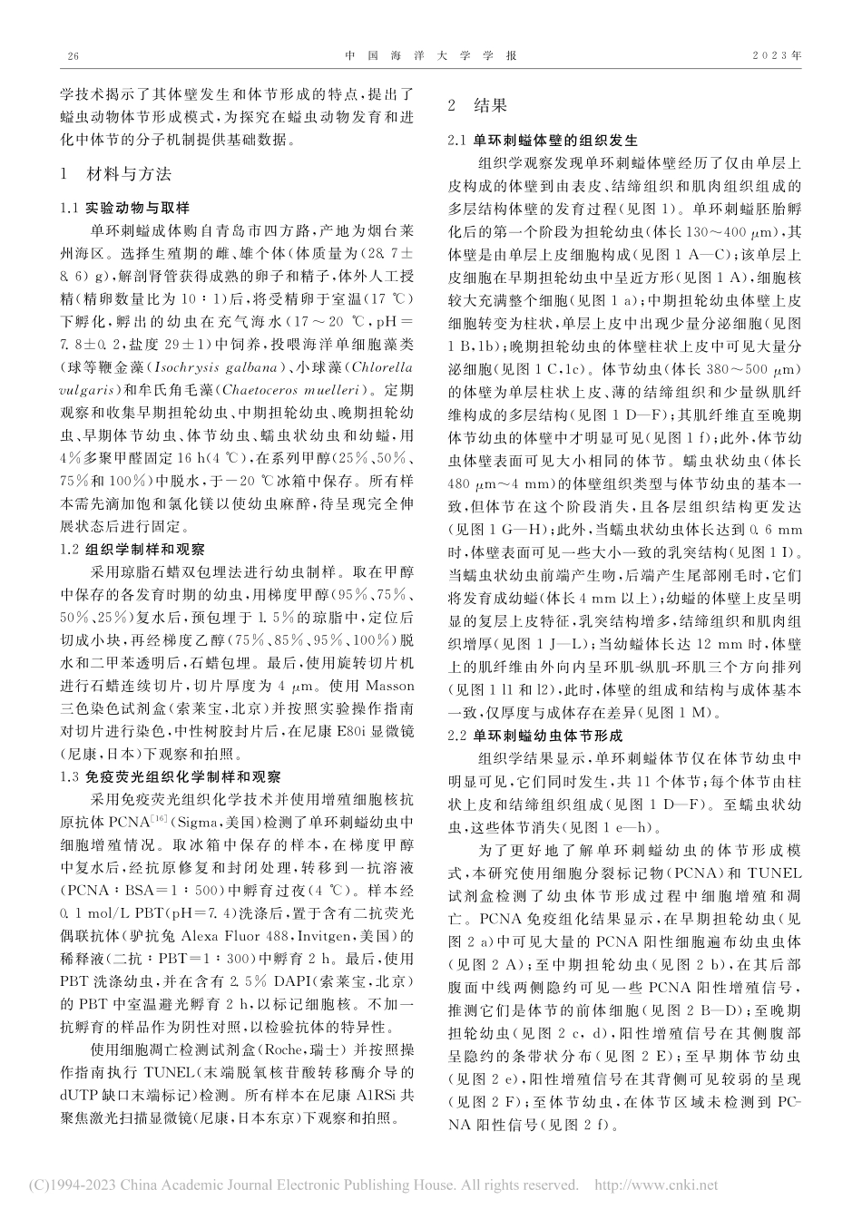 单环刺螠幼虫的体壁发生和体节形成_郑巧军.pdf_第2页
