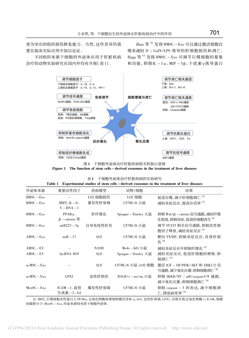 干细胞衍生的外泌体在肝脏疾病治疗中的作用_王卓然.pdf_第3页