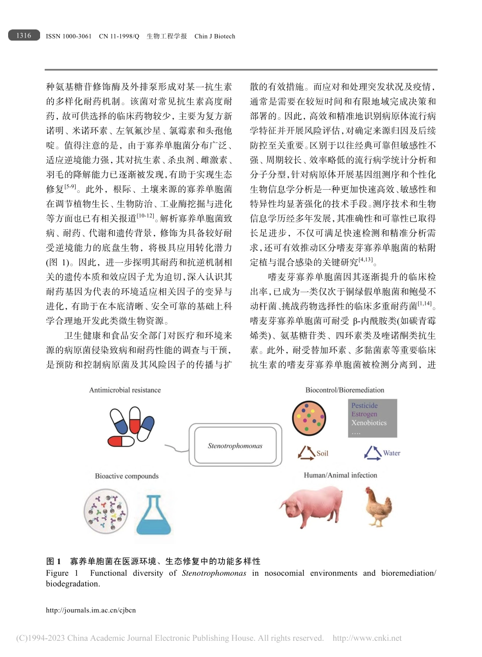 多重耐药寡养单胞菌的基因组学研究进展_唐宇航.pdf_第3页