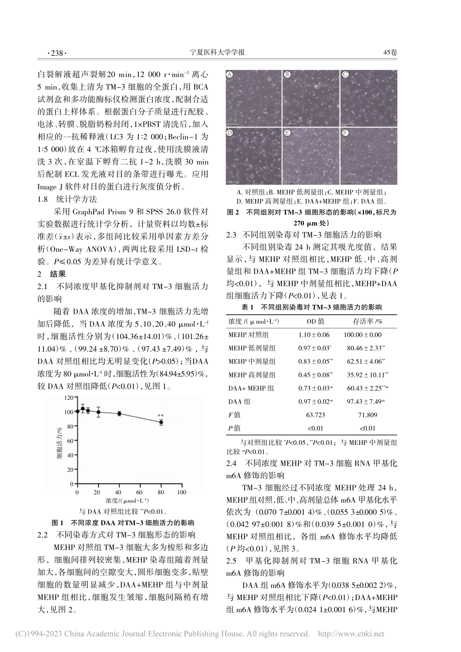 m6A甲基化对邻苯二甲酸单...小鼠睾丸间质细胞自噬的作用_马慧颖.pdf_第3页