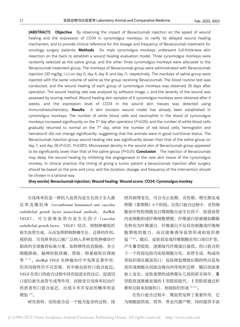 贝伐珠单抗注射液对食蟹猴皮肤伤口愈合的影响_杨平.pdf_第2页