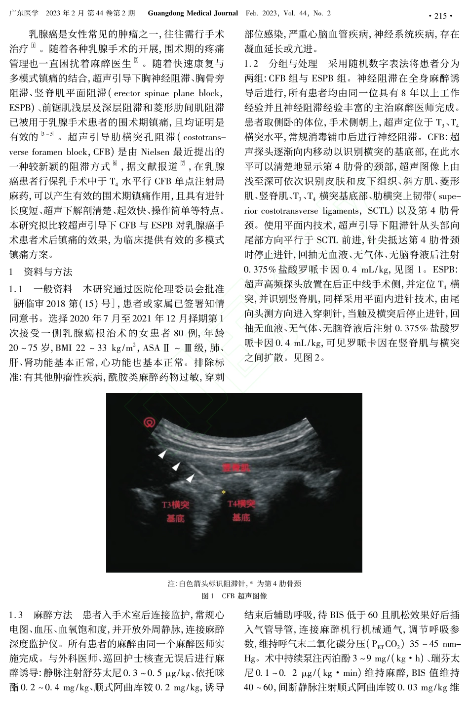 超声引导下肋横突孔阻滞和竖...腺癌患者术后镇痛效果的比较_郑小兰.pdf_第2页