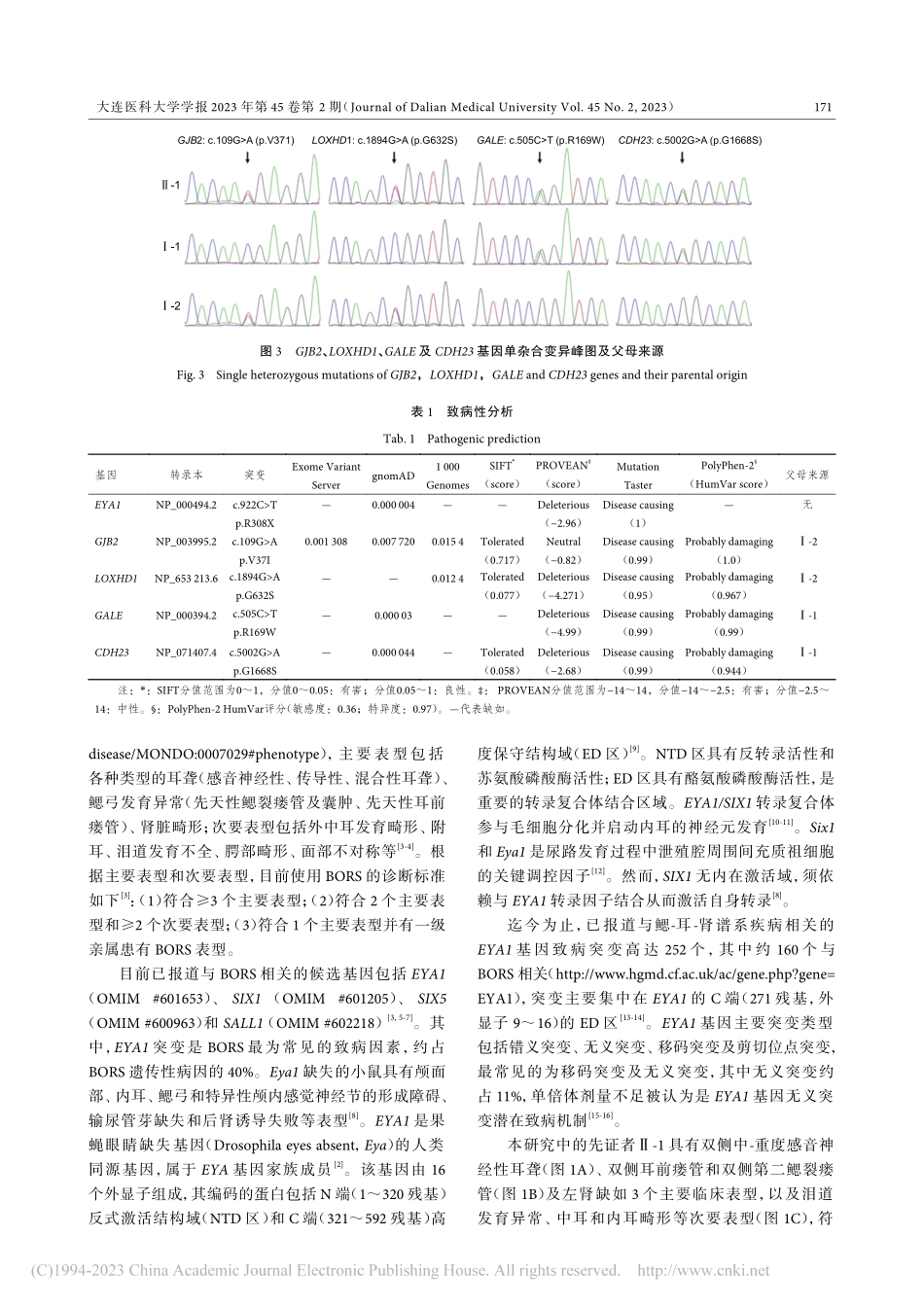 1例鳃-耳-肾综合征散发患者遗传病因学研究_胡清强.pdf_第3页