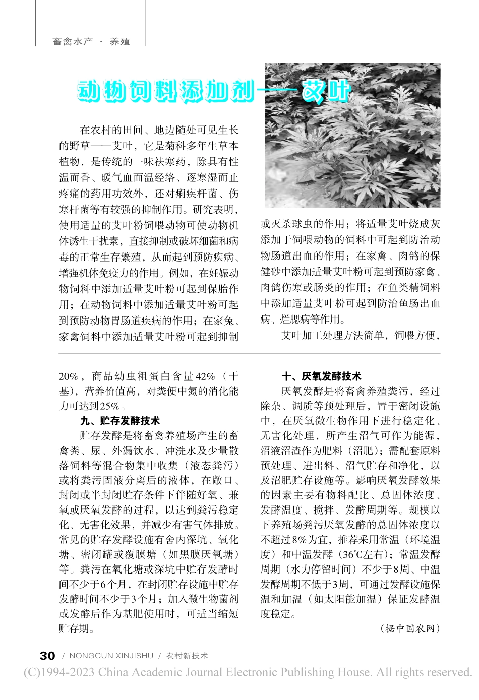 动物饲料添加剂——艾叶_夏道伦.pdf_第1页