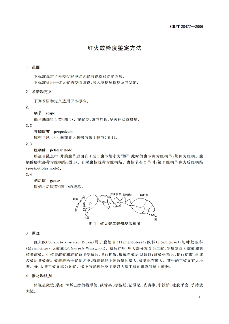 红火蚁检疫鉴定方法 GBT 20477-2006.pdf_第3页