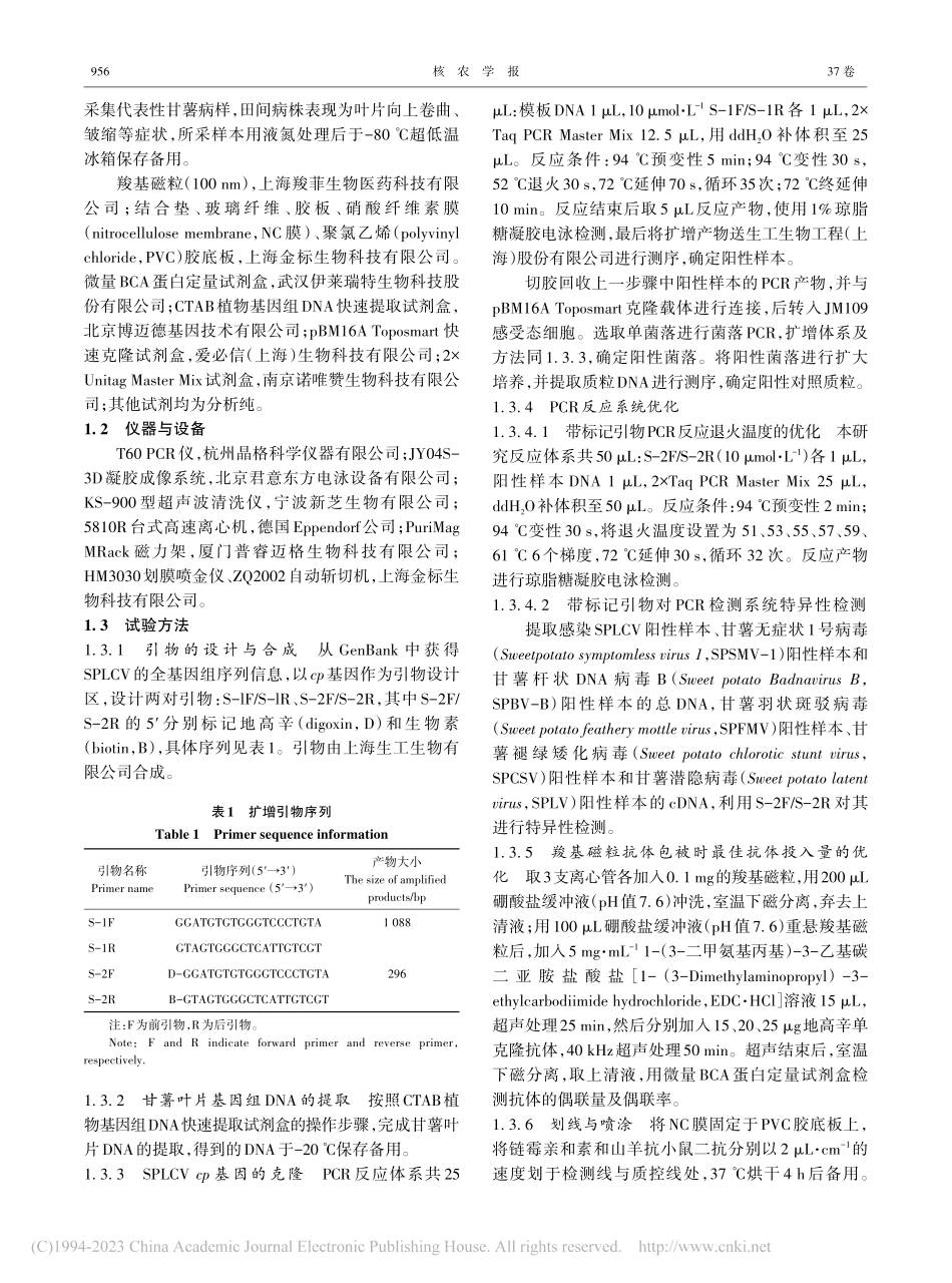 甘薯曲叶病毒PCR-层析试纸条快速检测方法的建立_张小梅.pdf_第2页