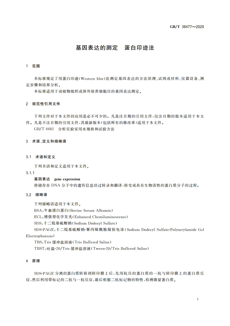 基因表达的测定 蛋白印迹法 GBT 38477-2020.pdf_第3页