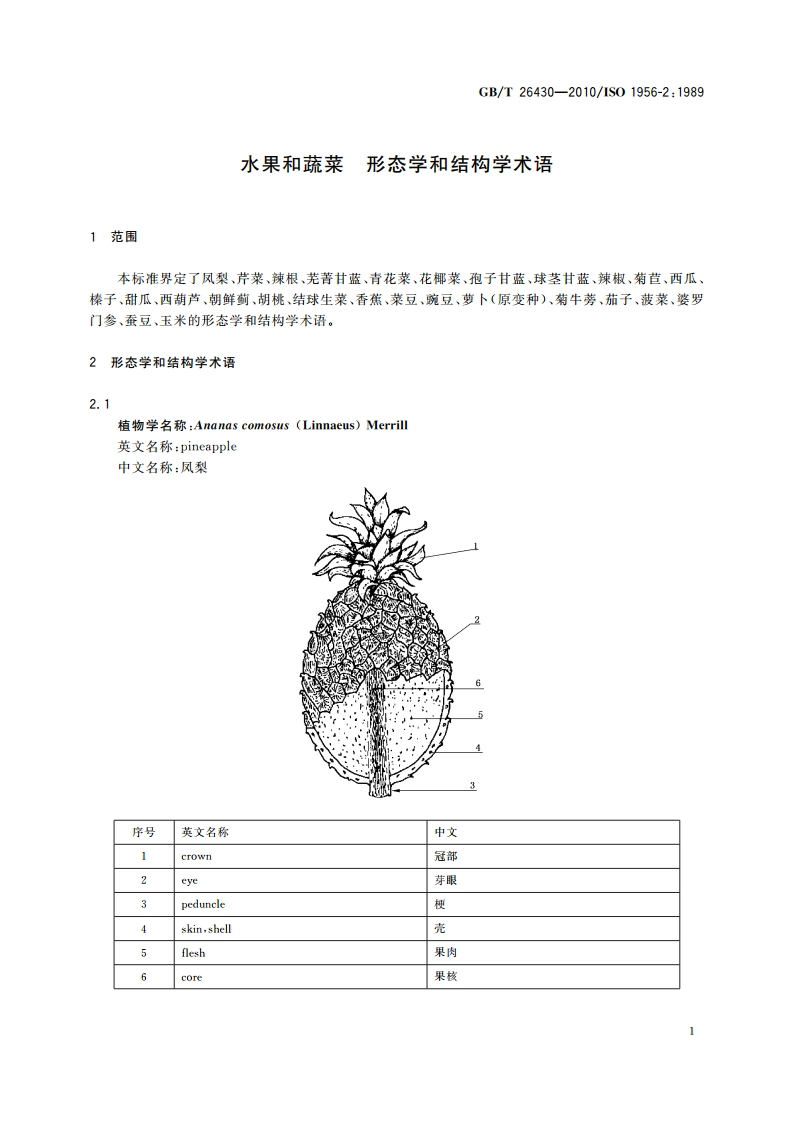 水果和蔬菜 形态学和结构学术语 GBT 26430-2010.pdf_第3页
