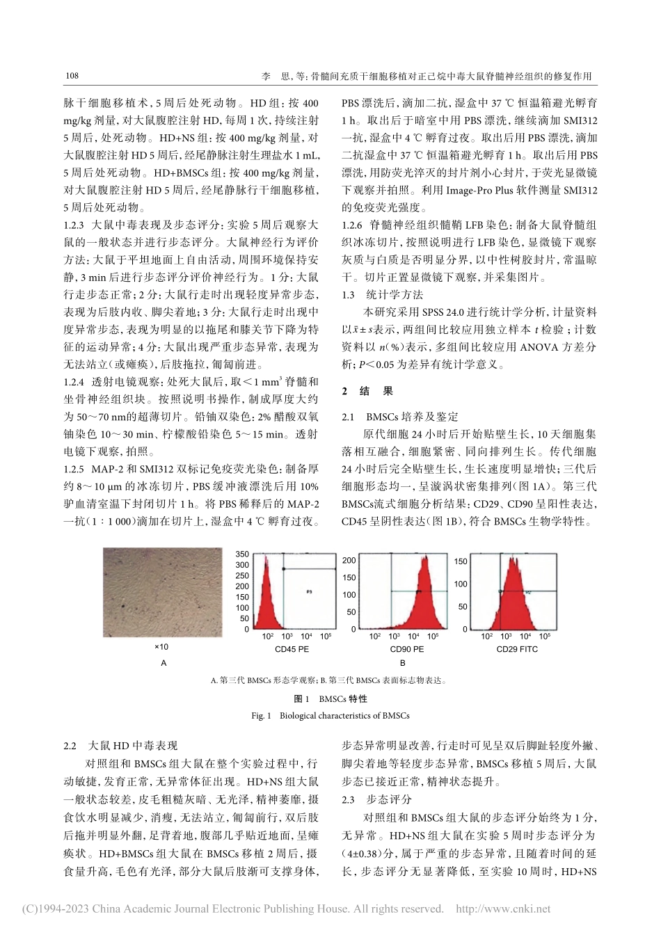 骨髓间充质干细胞移植对正己...大鼠脊髓神经组织的修复作用_李思.pdf_第3页