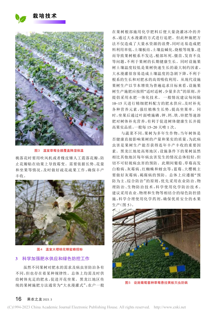 黑龙江地区早春设施果树需重视的几个关键环节_胡禧熙.pdf_第3页