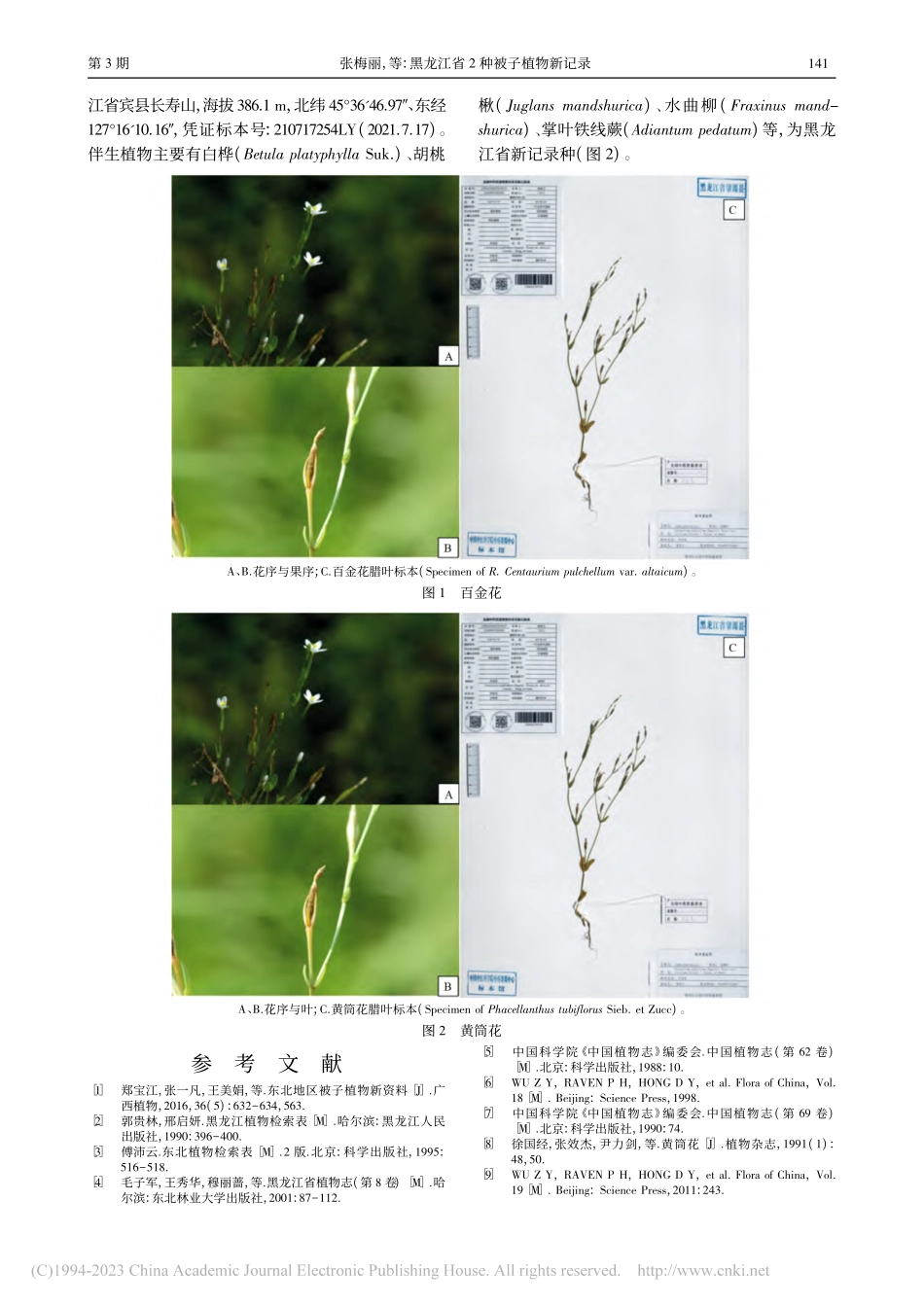 黑龙江省2种被子植物新记录_张梅丽.pdf_第2页