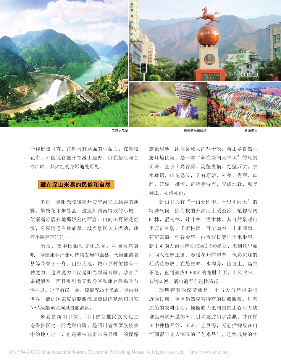 花是一座城__城是一朵花_梁凤英.pdf_第2页