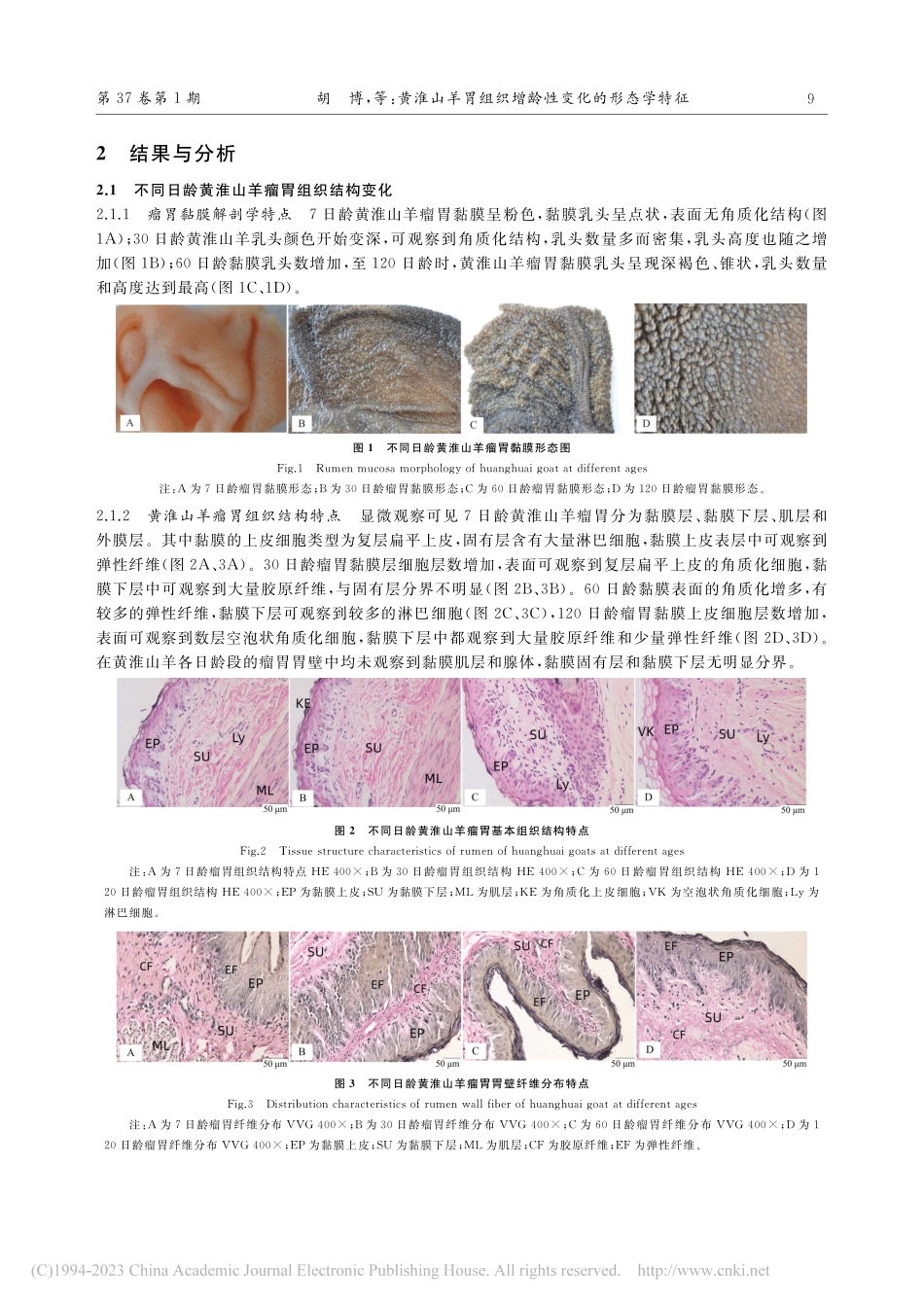黄淮山羊胃组织增龄性变化的形态学特征_胡博.pdf_第3页