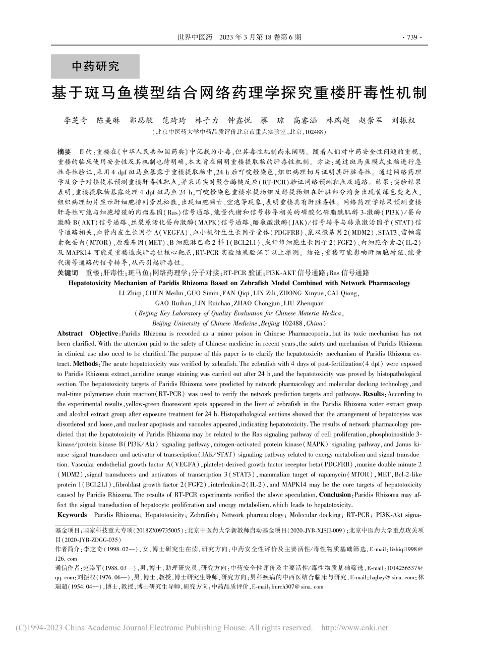 基于斑马鱼模型结合网络药理学探究重楼肝毒性机制_李芝奇.pdf_第1页