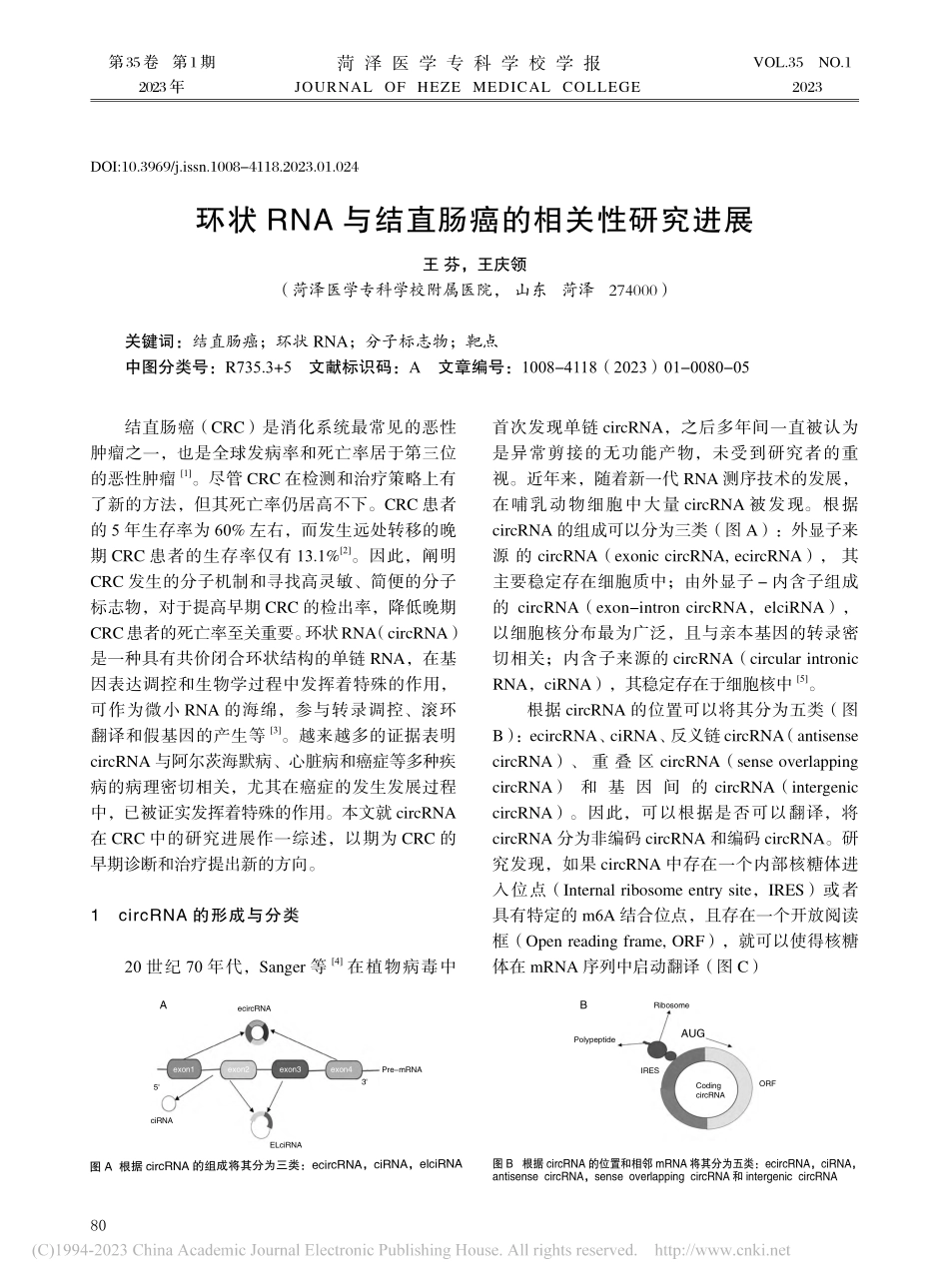 环状RNA与结直肠癌的相关性研究进展_王芬.pdf_第1页