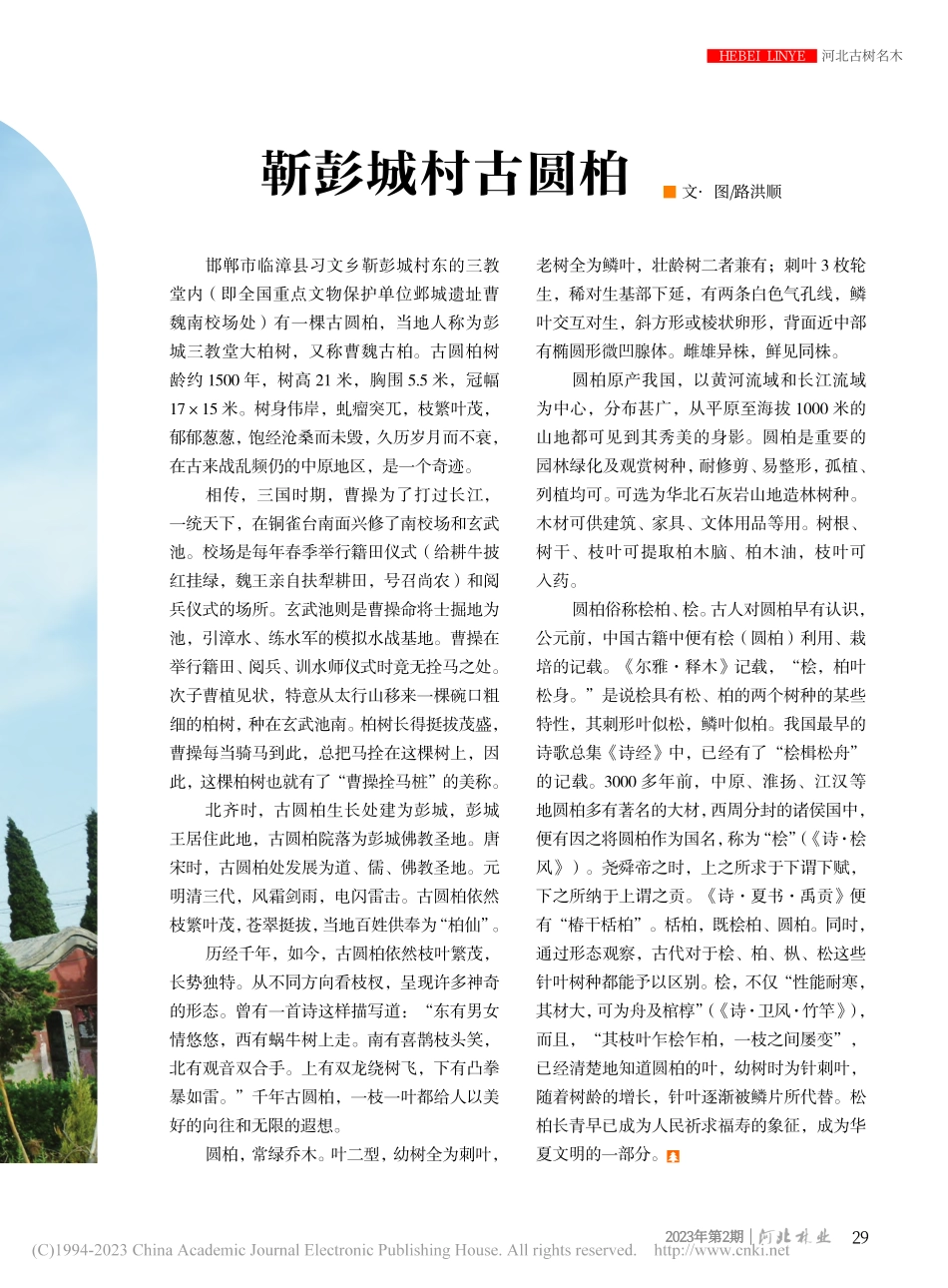 靳彭城村古圆柏_路洪顺.pdf_第2页