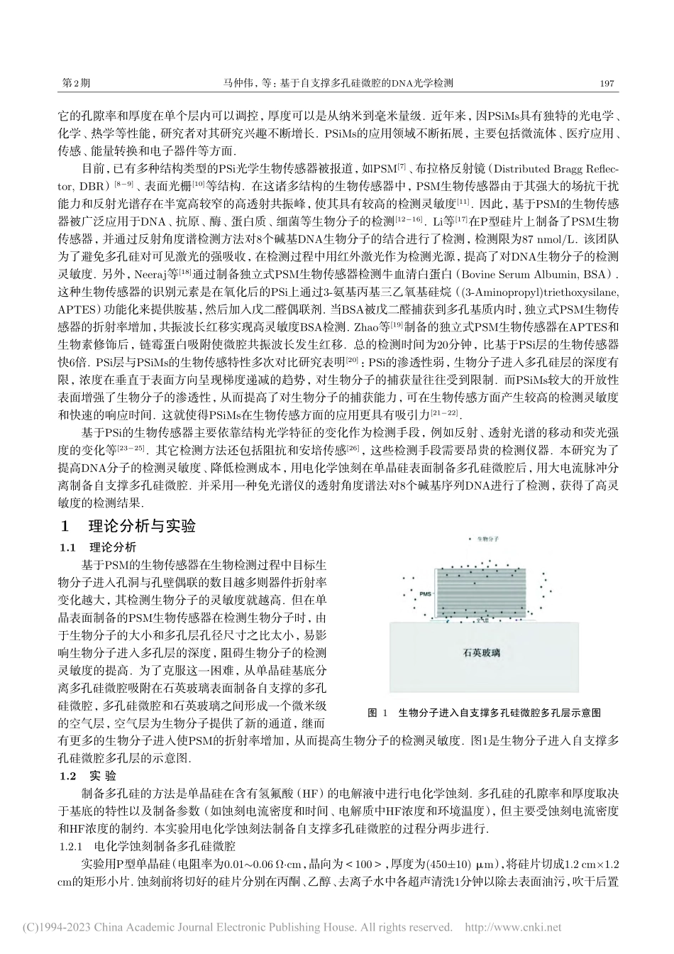 基于自支撑多孔硅微腔的DNA光学检测_马仲伟.pdf_第2页